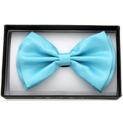 BOT-N46 Light Blue Bow tie