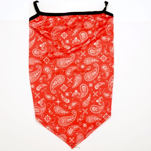 TUM-002 Red paisley print tube face mask - Click Image to Close